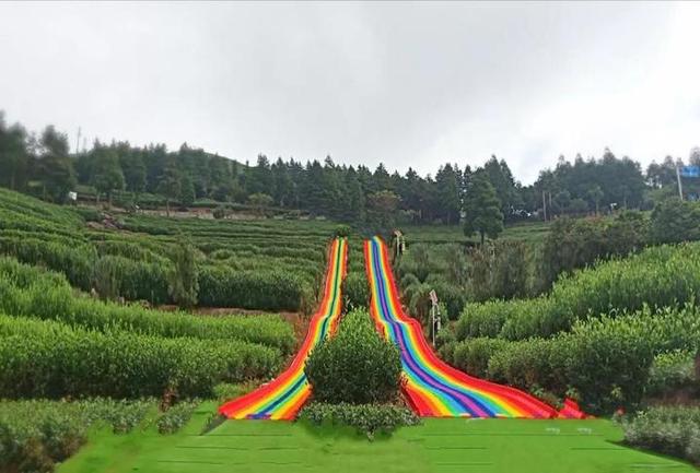 羊岩山茶园彩虹滑道"惊艳亮相"